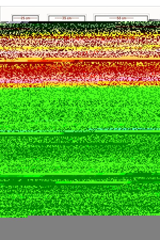 Get Fast (2024) 0002 AFİŞ - POSTER