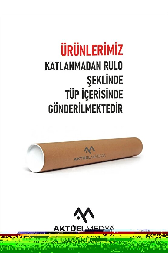 Işık Saçan Gül Digital Art ( ÇERÇEVESİZ - ÇERÇEVE YOKTUR ) ( ULTRA HD ) FOLYO AFİŞ - POSTER