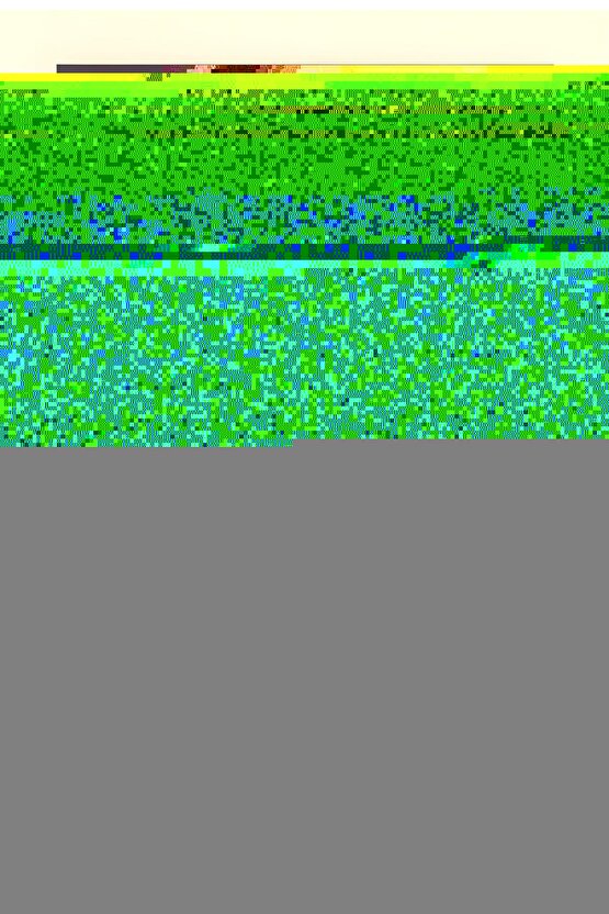 Alita Battle Angel (2019) 5 ( FOLYO ) - AFİŞ - POSTER-1254