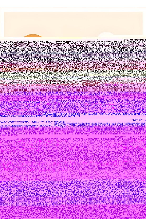 Matisse - Sanat - Soyut - Doğa - Yaşam ( Tekli Çerçevesiz ) Poster - Afiş - Tablo MKKM1052