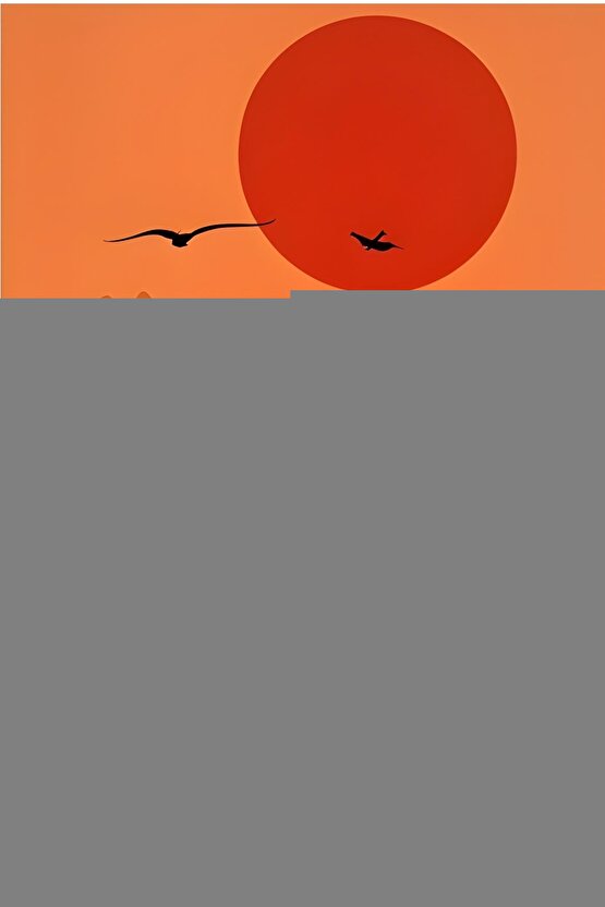 Matisse - Boho - Art Deco - Soyut - Doğa ( 3 lü Çerçevesiz ) Poster - Afiş - Tablo KR2C00872