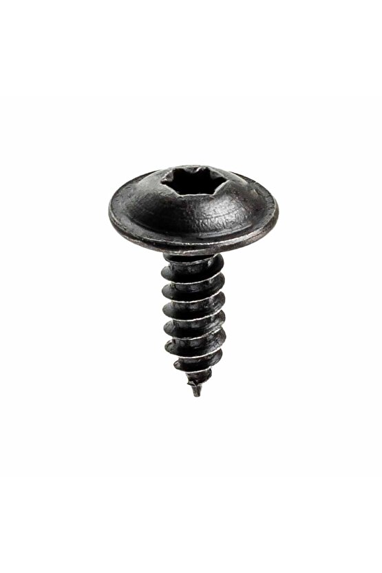 Renault Peugeot Citroen Skoda Fiat Seat için Torx (Tork) Vida Klips - 100 Adet