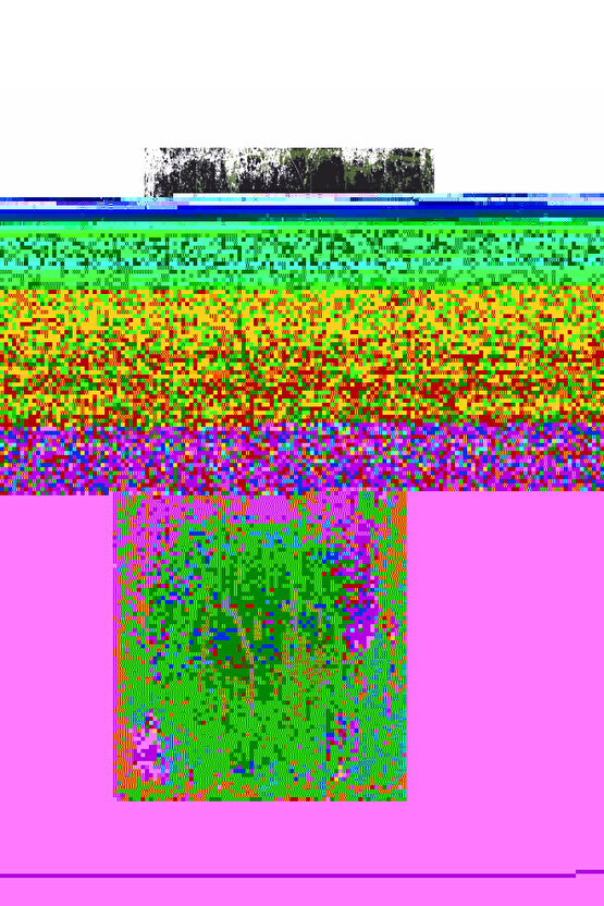 mevlana motivasyon sözleri duvar yazıları ev dekorasyon tablo mini retro ahşap poster