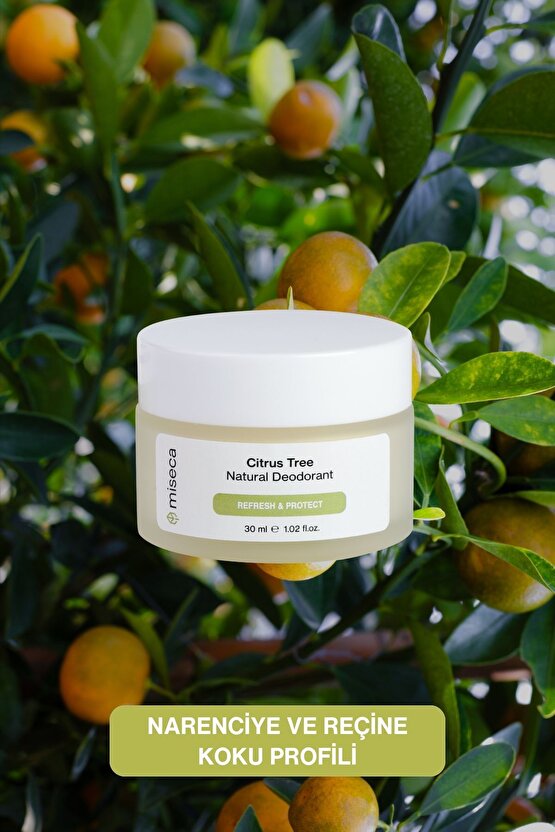 Citrus Tree Doğal Krem Deodorant 30 ml | Limon Portakal Mür