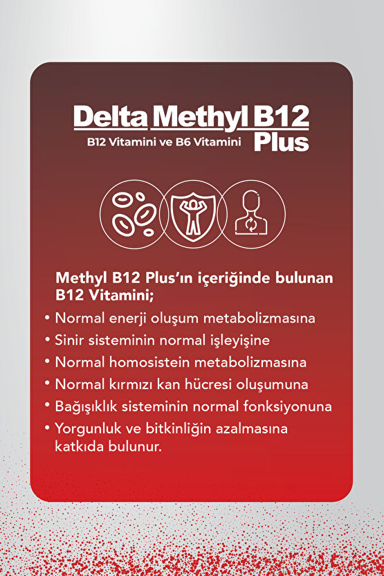 Methyl B12 Plus Methylcobalamin Sprey 10ml