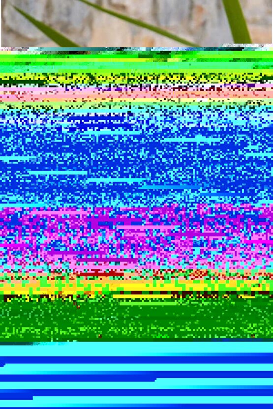 Go Essential Bluetooth Hoparlör Ipx7 Siyah