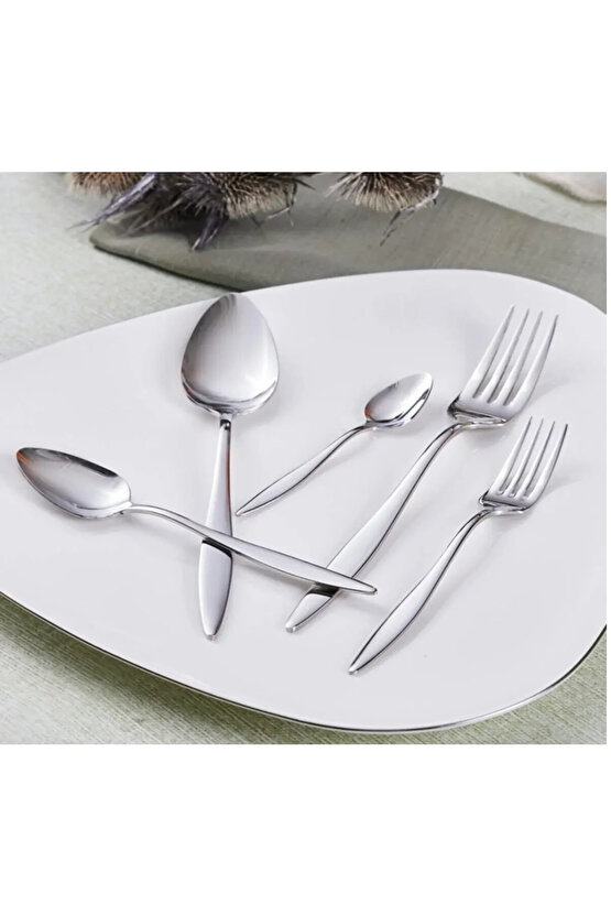 60 Parça 12 Kişilik Çatal Kaşık Takımı Sivri Model (kutulu)
