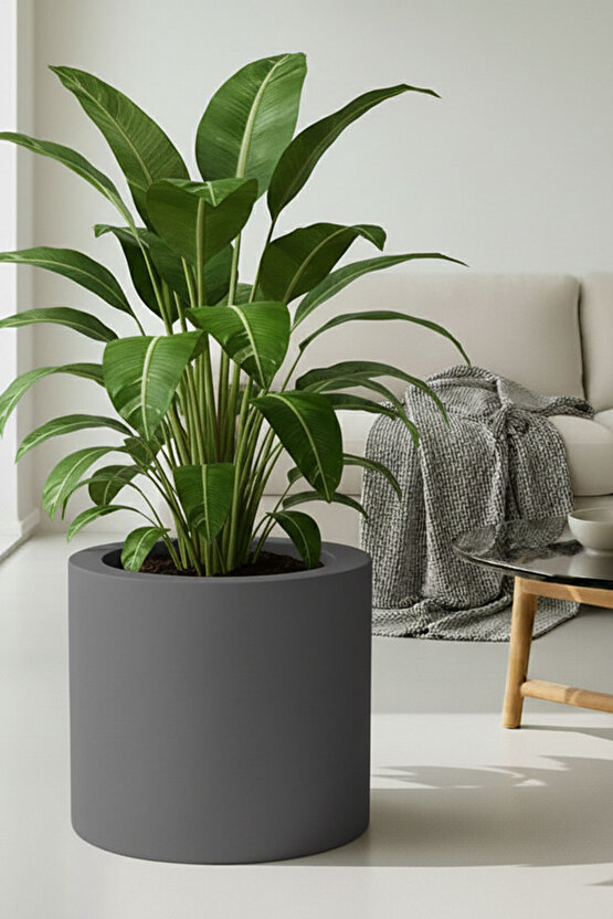 Aura Cylindro 40x40cm Fiber Silindir Saksı - Mat - Büyük Saksı - Üst Açıklık 32cm