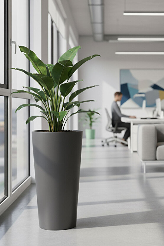 Aura Vaso 70x35cm Konik Fiberglass Büyük Saksı İç Mekan Dış Mekan