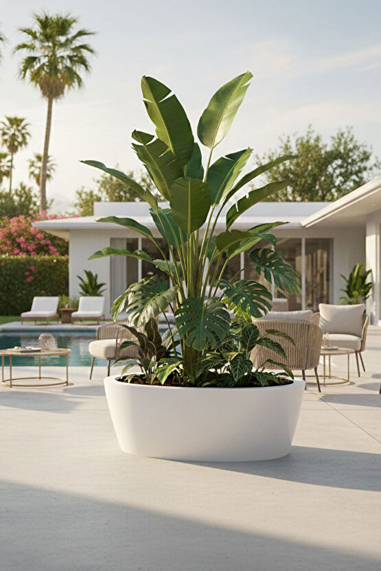 Aura Elipso Elips Fiber Saksı 40x30x20cm Mat - İç ve Dış Mekan