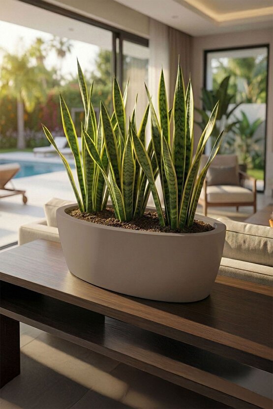 Aura Elipso Elips Fiber Saksı 40x30x20cm Mat - İç ve Dış Mekan