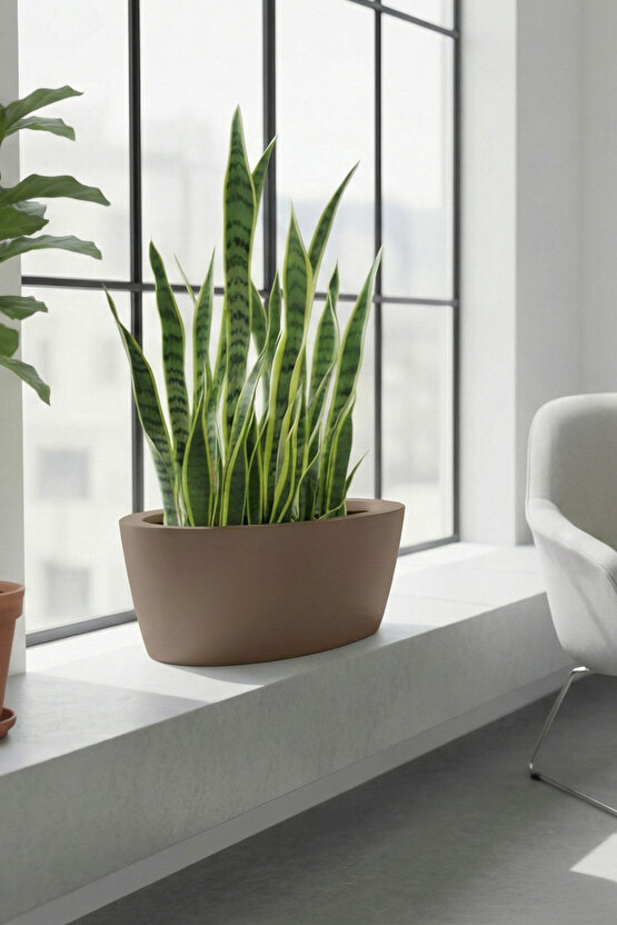 Aura Elipso Elips Fiber Saksı 40x30x20cm Mat - İç ve Dış Mekan