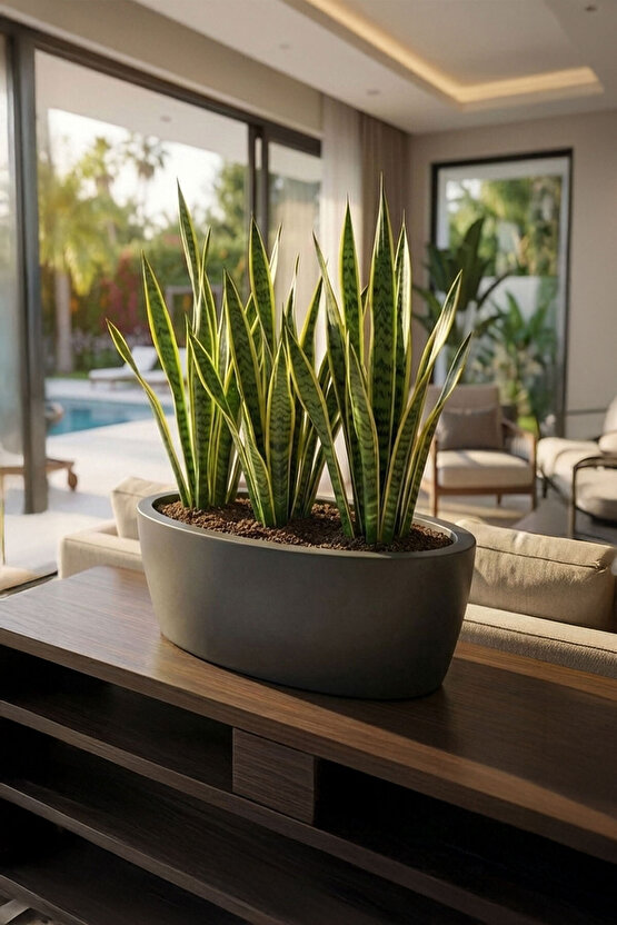 Aura Elipso Elips Fiber Saksı 40x30x20cm Mat - İç ve Dış Mekan