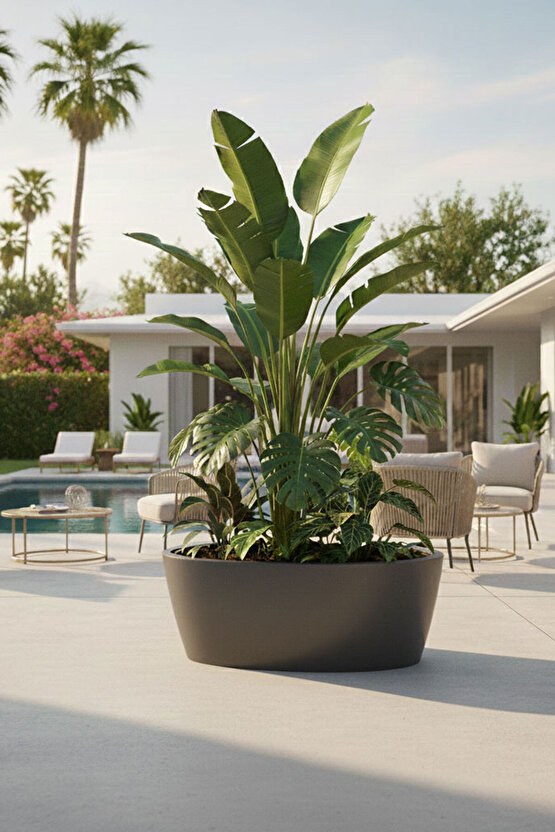 Aura Elipso Elips Fiber Saksı 40x30x20cm Mat - İç ve Dış Mekan