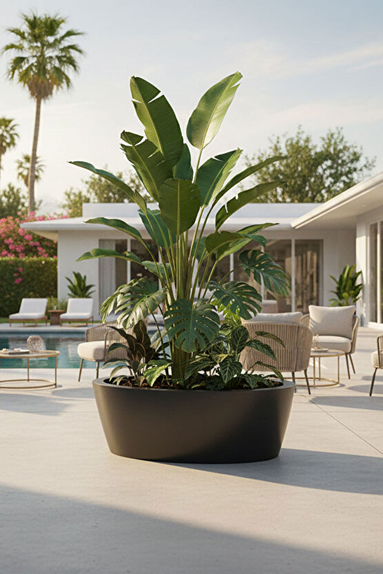 Aura Elipso Elips Fiber Saksı 40x30x20cm Mat - İç ve Dış Mekan