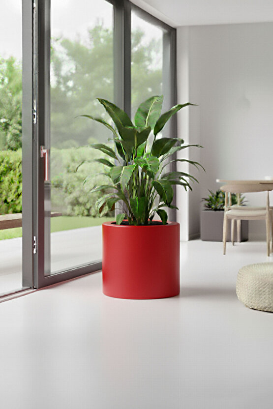 Aura Cylindro 50x50cm Fiber Silindir Saksı - Mat - Büyük Saksı - Üst Açıklık 42cm