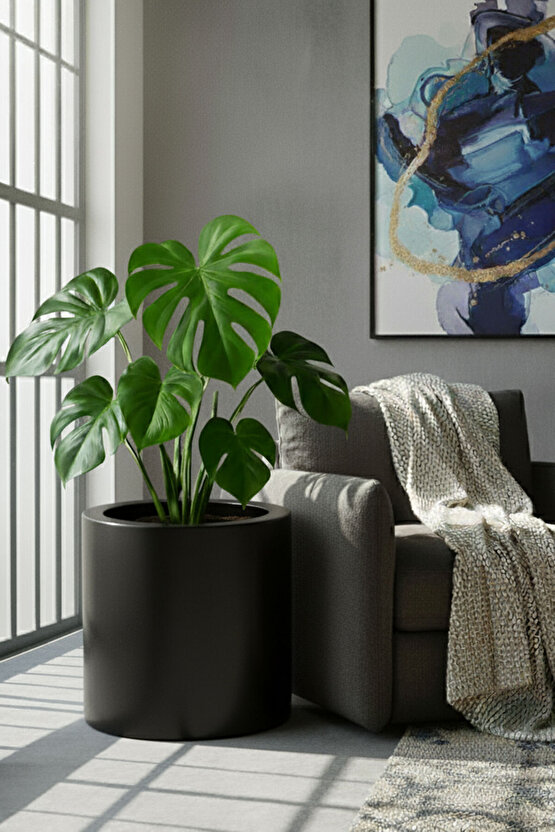 Aura Cylindro 50x50cm Fiber Silindir Saksı - Mat - Büyük Saksı - Üst Açıklık 42cm