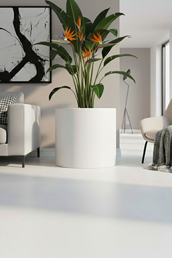 Aura Cylindro 50x50cm Fiber Silindir Saksı - Mat - Büyük Saksı - Üst Açıklık 42cm