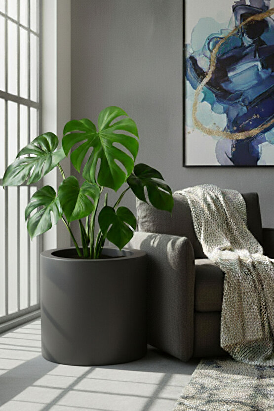 Aura Cylindro 50x50cm Fiber Silindir Saksı - Mat - Büyük Saksı - Üst Açıklık 42cm