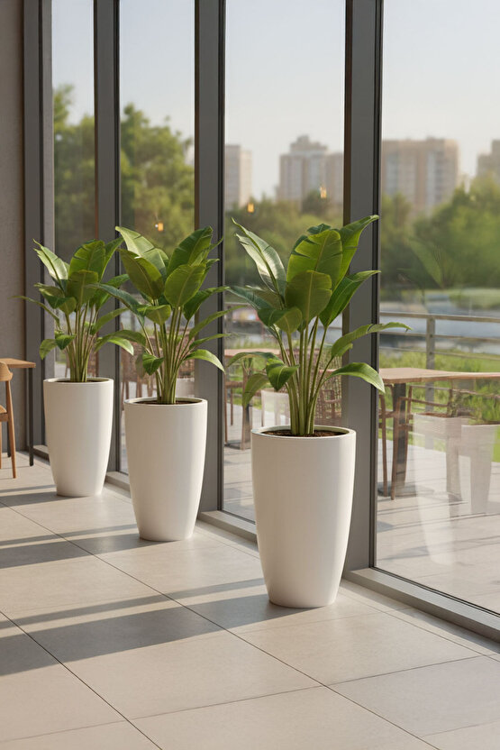 Aura Curva 70x40cm Kıvrımlı Konik Fiberglass Saksı Büyük Boy İç Dış Mekan Dış Mekan