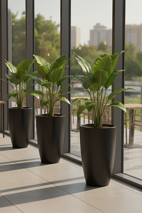 Aura Curva 70x40cm Kıvrımlı Konik Fiberglass Saksı Büyük Boy İç Dış Mekan Dış Mekan