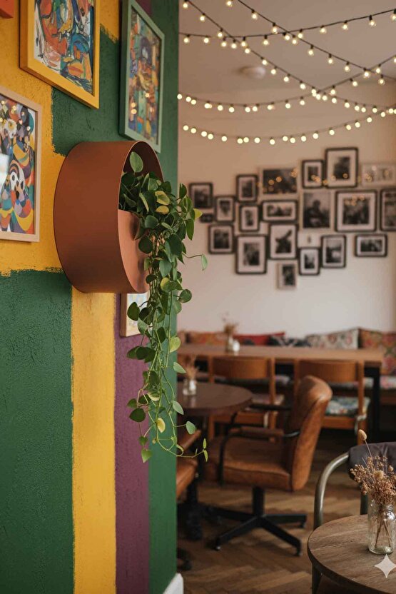 Aura Levitia Fiber Saksı - 30cm x 15cm Duvar Saksısı