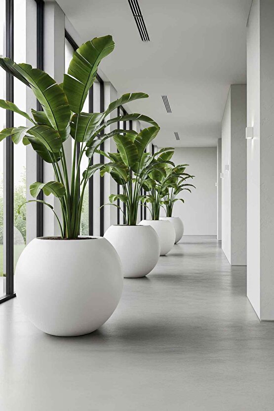 Aura Sphere Fiber Küre Saksı - Çap 60cm x Yükseklik 50cm Büyük Boy