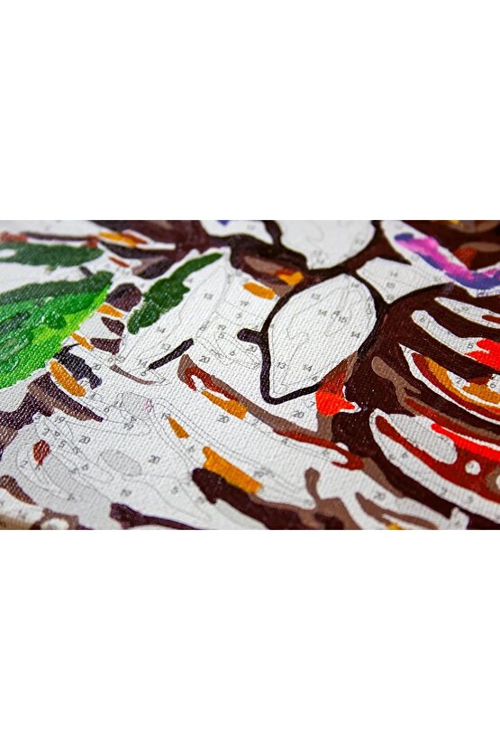 Sayılarla Boyama Kasnaklı Tablo Seti Fırça Boya Dahil 40x50 COLORFUL TOUCAN