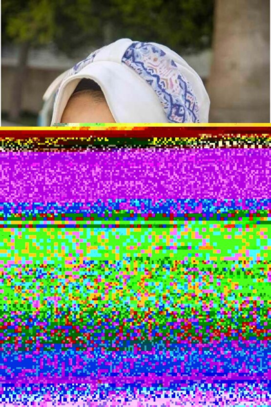 Sayılarla Boyama Kasnaklı Tablo Seti Fırça Boya Dahil 40x50 At