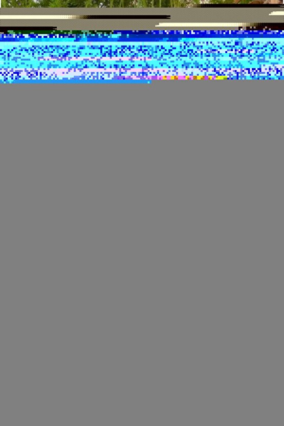 Nish Parfum W-17 Extrait De Parfum 50ml Floral-noa