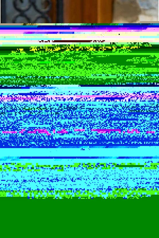 Eko Tüy Toplayıcı Rulo 5 Adet Kedi Tüy Toplayıcı Köpek Tüy Toplayıcı