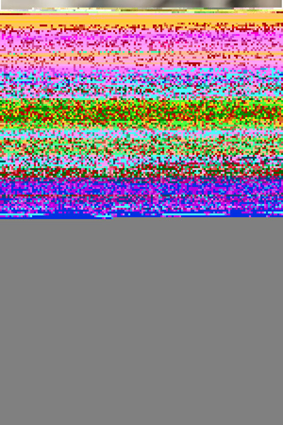 Eko Tüy Toplayıcı Rulo 60 Yaprak 7,3 Mt Kedi Tüy Toplayıcı Köpek Tüy Toplayıcı