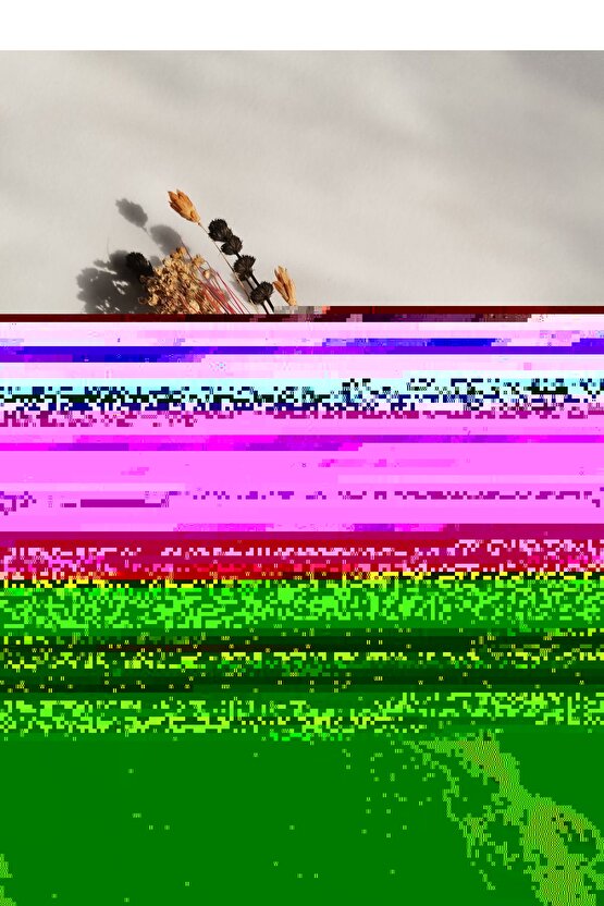 Damat Yaka Çiçeği 52