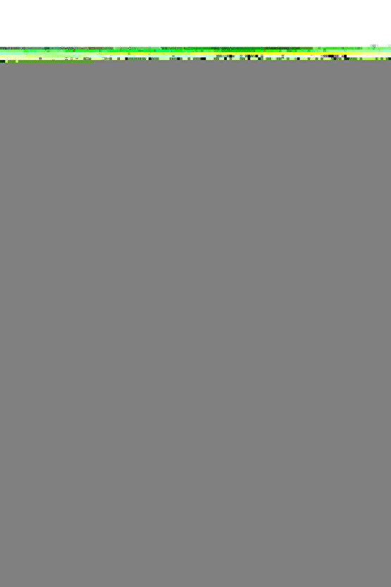 Taşlı Deniz Kabuğu Kolye