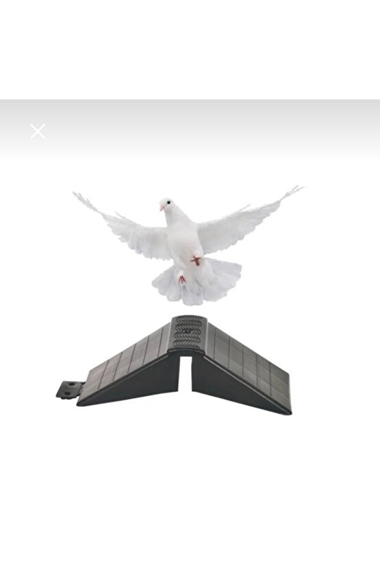 Güvercin Tünek 25 Adet