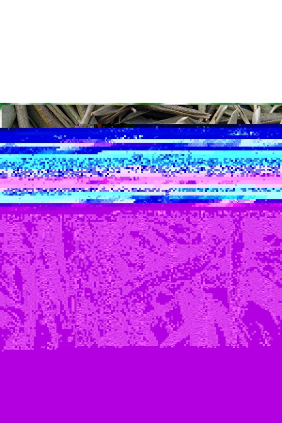 Kurutulmuş Egeden Zeytin Yaprağı 50 gr