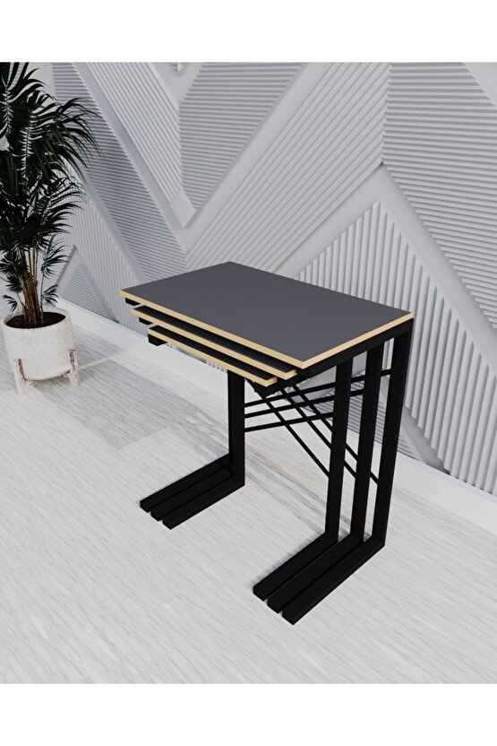 3 lü Zigon Sehpa Metal Sehpa Atlantik Füme 1365