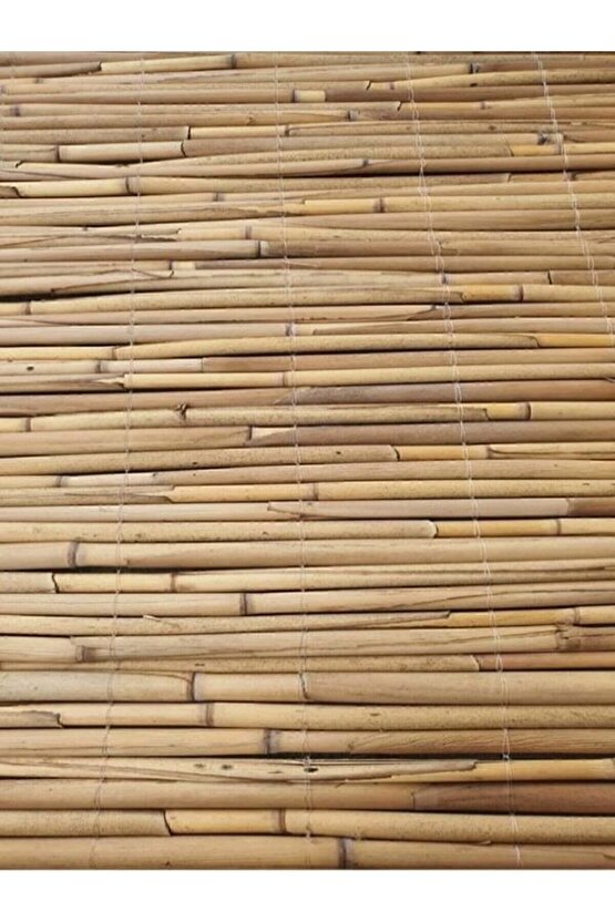 Kamış Çit Kamış Hasır Kamış Bambu 1*5 Metre Gölgelik Doğal Kamış Hasır Çit- Gölgelik- Rüzgar Perdesi