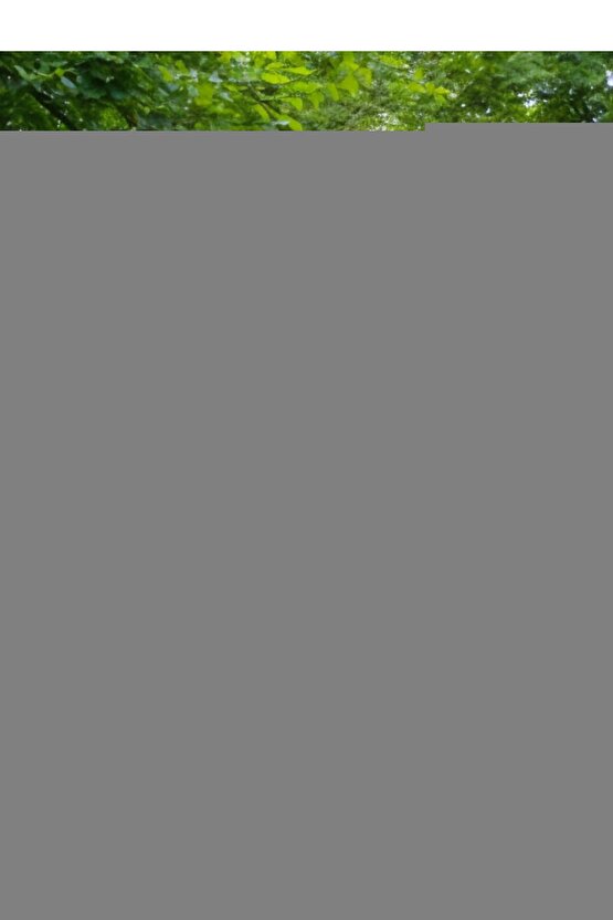 2 Adet 20lik Karpuz Lamba, Birinci Kalite PVC Glop, Bahçe Aplikleri Yedek Parçası, 20 Cm PVC Küre