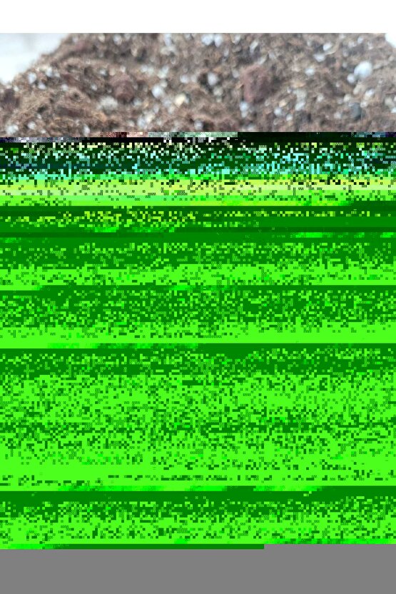 x Bruce Lee Koleksiyonluk Özel Tasarım Unisex Sweatshirt