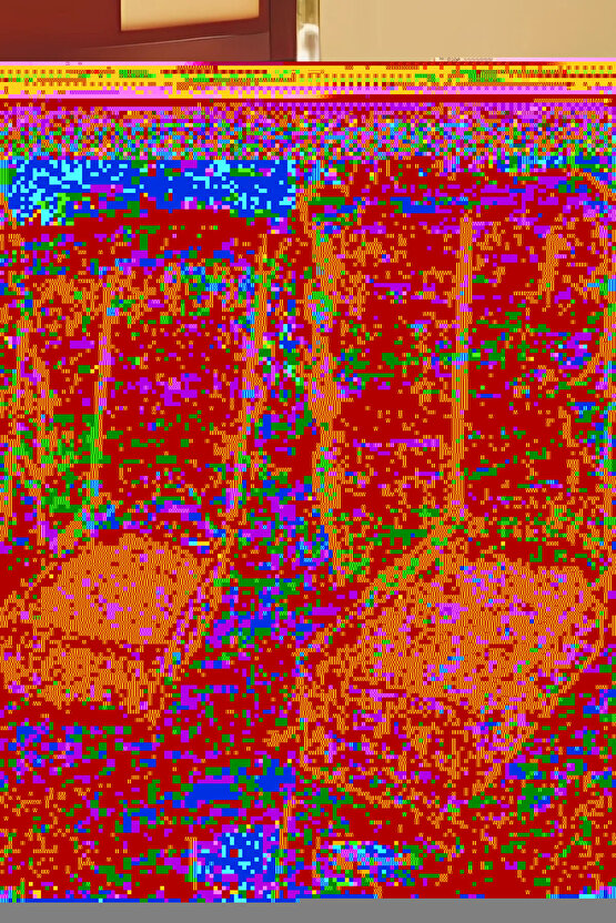 10 Adet 2 Lt. 10 Adet 1 Lt Kendinden Kapaklı Derin Dondurucuya Uygun Buzluk Saklama Kabı Düzenleyici