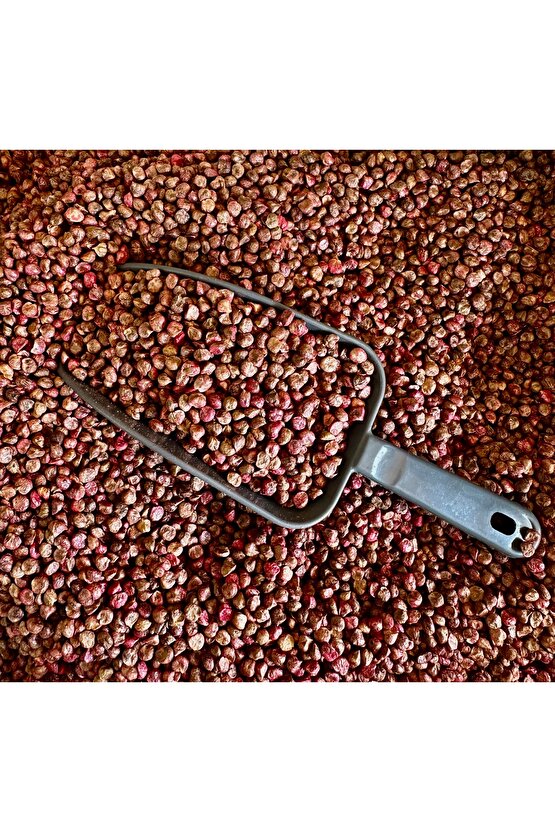 Ispanak Tohumu (AÇIK)50g