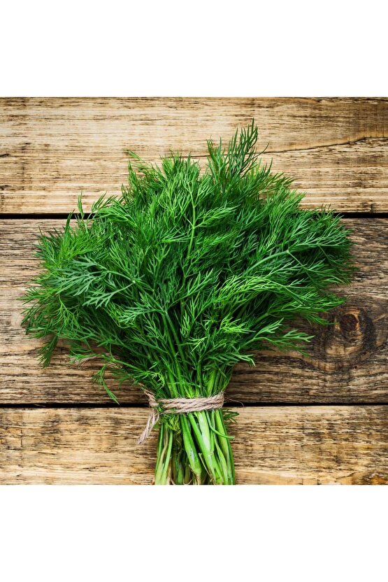 Yerli Dere Otu Tohumu 500 Adet