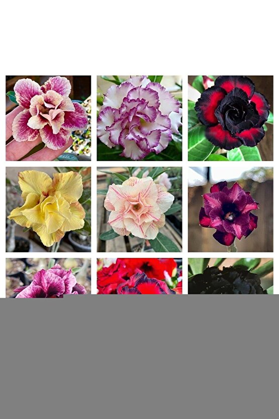 BLUETOOTH SPEAKER KABLOSUZ ŞARJLI HOPARLÖR PARTY BOX SES BOMBASI