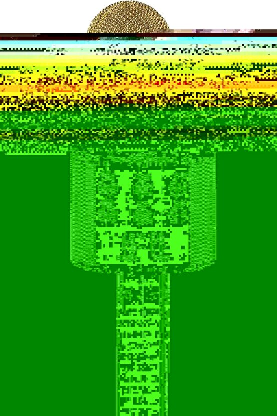 ŞARJLI KABLOSUZ KARAOKE MİKROFON BLUETOOTH HOPARLÖR SES DEĞİŞTİRME ÖZELLİKLİ SD KART USB GİRİŞLİ