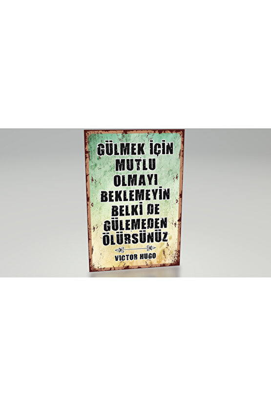 motivasyon sözleri Victor Hugo özlü sözler duvar yazıları retro ahşap poster