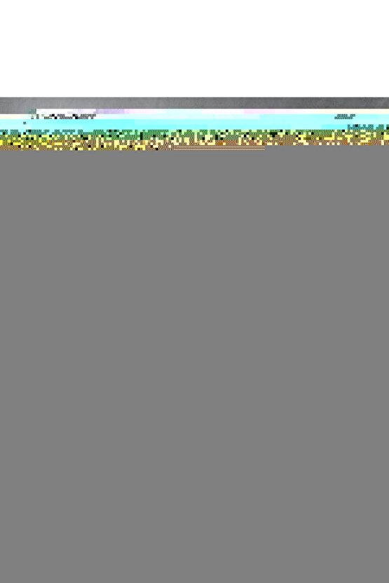 Oyun Hamur Sepeti Kumsal Seti - Art Craft