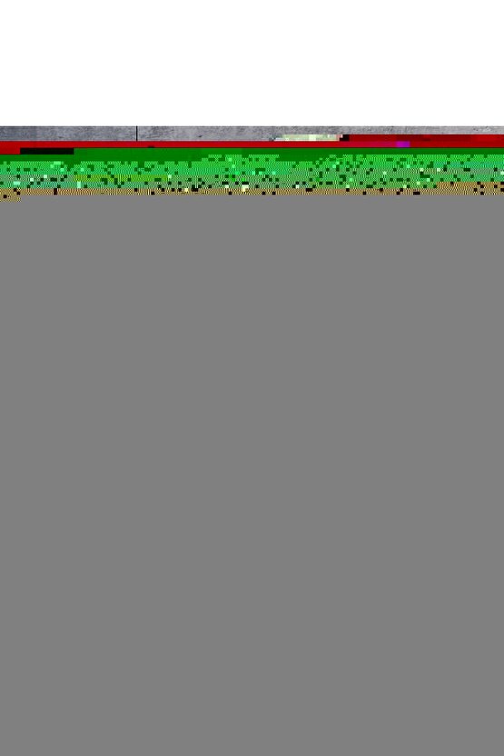 Gri Bambu Zebra Perde