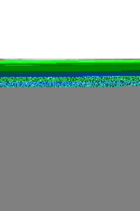 Kadın Bej Şişme Mont