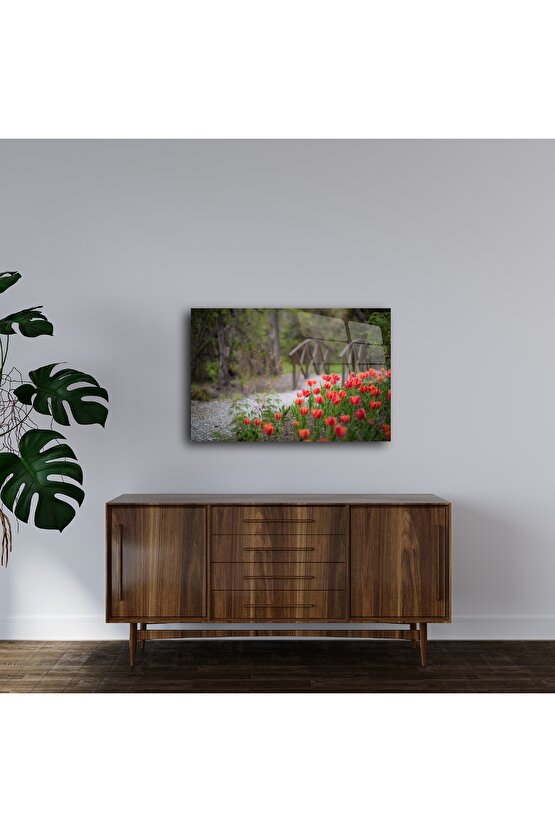 Ahşap Köprü ve Kırmızı Lale Bahçesi Cam Tablo